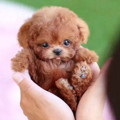 QunatroBay™- My Realistic Robot Puppy