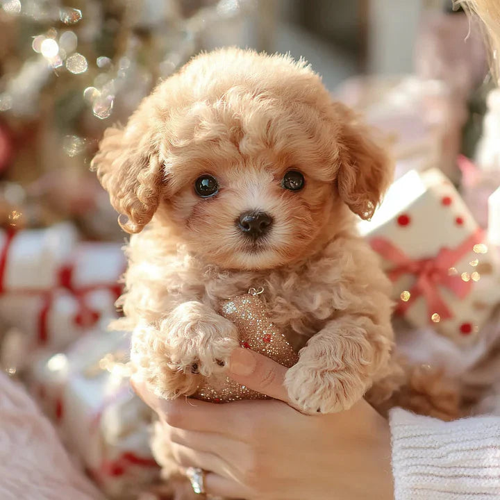 QunatroBay™- My Realistic Robot Puppy